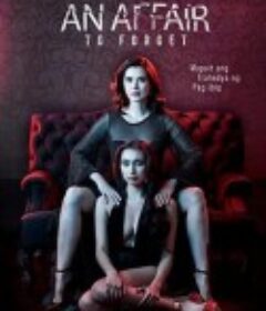 风流韵事 An Affair to Forget            (2022)