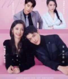 101次抢婚            (2023)