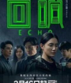 回响            (2023)