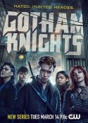 哥谭骑士 Gotham Knights            (2023)