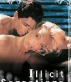 非法感觉 Illicit Sensations            (2000)
