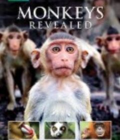 猴子大观 Monkeys Revealed            (2014)