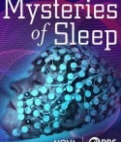 睡眠之谜 Mysteries of Sleep            (2020)