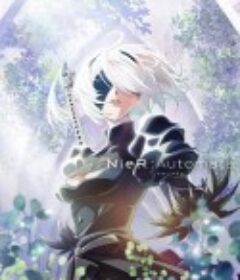 尼尔：自动人形 Ver1.1a NieR:Automata Ver1.1a            (2023)