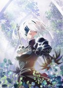 尼尔：自动人形 Ver1.1a NieR:Automata Ver1.1a            (2023)