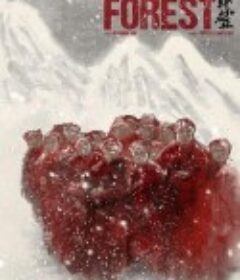绛红森林            (2021)