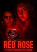 红玫瑰 Red Rose            (2022)