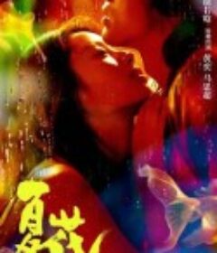 夏花            (2023)