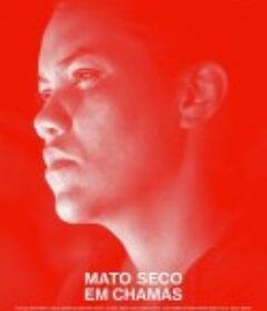 燃烧的干灌木 Mato seco em chamas            (2022)