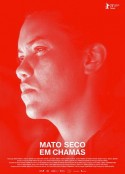 燃烧的干灌木 Mato seco em chamas            (2022)