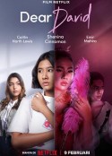 亲爱的大卫 Dear David            (2023)
