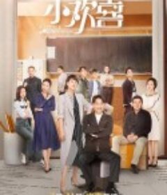 小欢喜            (2019)