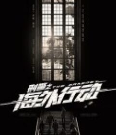 刑警之海外行动            (2021)