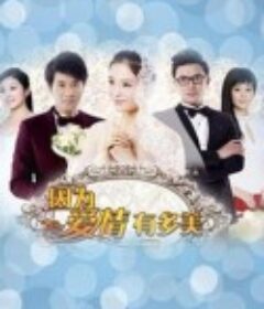 因为爱情有多美            (2013)