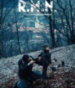 核磁共振 R.M.N.            (2022)