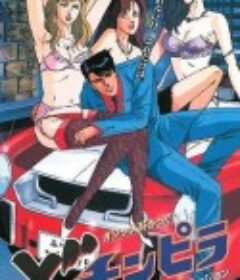 流氓流氓 どチンピラ            (1993)