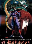 忍者龙剑传 忍者龍剣伝            (1991)