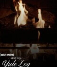 圣诞原木 Adult Swim Yule Log            (2022)