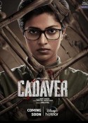 法医缉凶 Cadaver            (2022)