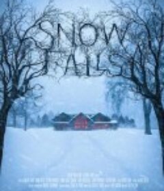 极冻邪恶 Snow Falls            (2023)