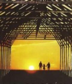 匈牙利狂想曲 Magyar rapszódia            (1979)