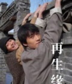 再生缘            (2009)
