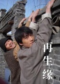 再生缘            (2009)