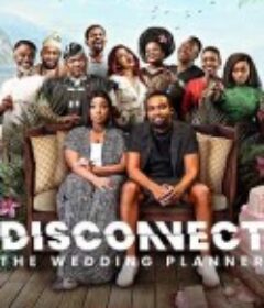 情感短线：婚庆小队 Disconnect: The Wedding Planner            (2023)