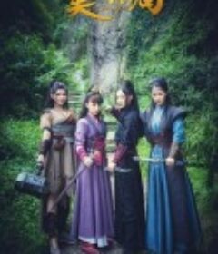 美人镖局            (2019)