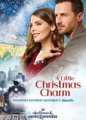 丢失的圣诞手镯 A Little Christmas Charm            (2020)