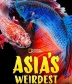 亚洲最奇异 Asia's Weirdest            (2021)
