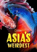 亚洲最奇异 Asia's Weirdest            (2021)