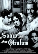 国王，王后与奴隶 Sahib Bibi Aur Ghulam            (1962)