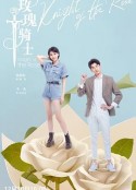 玫瑰骑士            (2020)