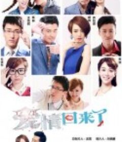 爱情回来了            (2014)