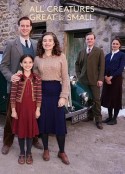 万物生灵：2022圣诞特别集 All Creatures Great and Small: 2022 Christmas Special            (2022)