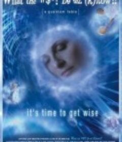 我们到底知道多少？ What the Bleep Do We Know!?            (2004)