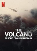 火山：法卡里营救 The Volcano: Rescue from Whakaari            (2022)