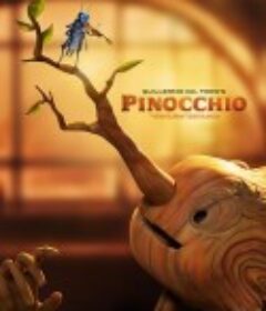 吉尔莫·德尔·托罗的匹诺曹 Guillermo Del Toro's Pinocchio            (2022)