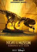 博物馆惊魂夜：卡门拉回归 Night At The Museum：Kahumunrah Rises Again            (2022)