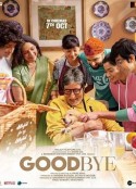 最后的告别 Goodbye            (2022)