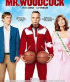 伍德考克先生 Mr. Woodcock            (2007)