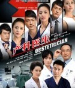 产科医生            (2014)