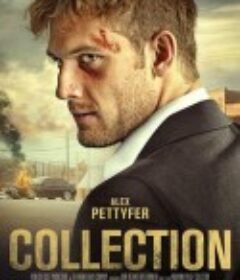 收集 Collection            (2021)