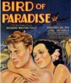 蛮女天堂 Bird of Paradise            (1932)