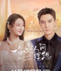 你是人间理想            (2022)