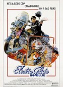 忧郁骑警 Electra Glide in Blue            (1973)