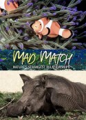 疯狂拍档：自然界最神奇的友谊 Mad Match: Nature's Strangest Relationships            (2020)
