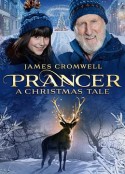 幻海童真：圣诞故事 Prancer            (2022)