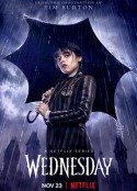 星期三 第一季 Wednesday Season 1            (2022)